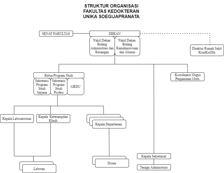 Struktur Organisasi Program Pendidikan Dokter Spesial 4814