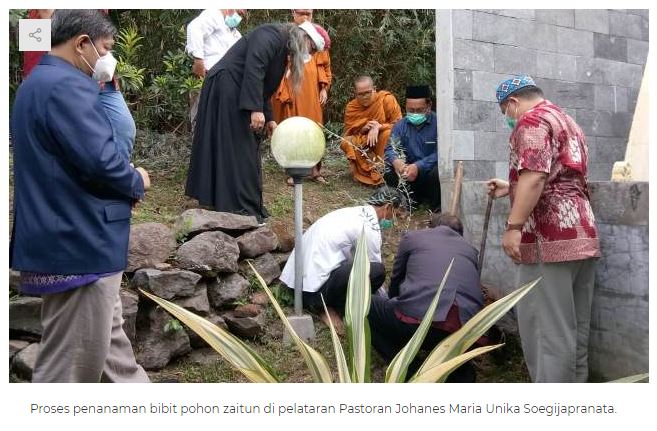 Tanam Pohon Zaitun, FKUB Jateng: Teguhkan Cinta Bumi Pertiwi