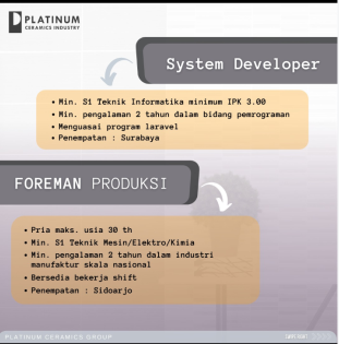 System Developer, Foremen Produksi @ Platinum